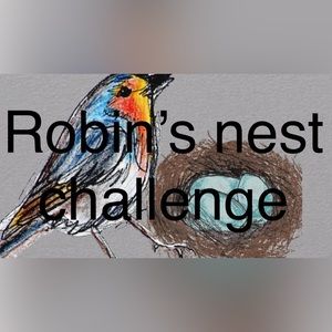 🪺🐦Robins Nest challange 🪺🐦